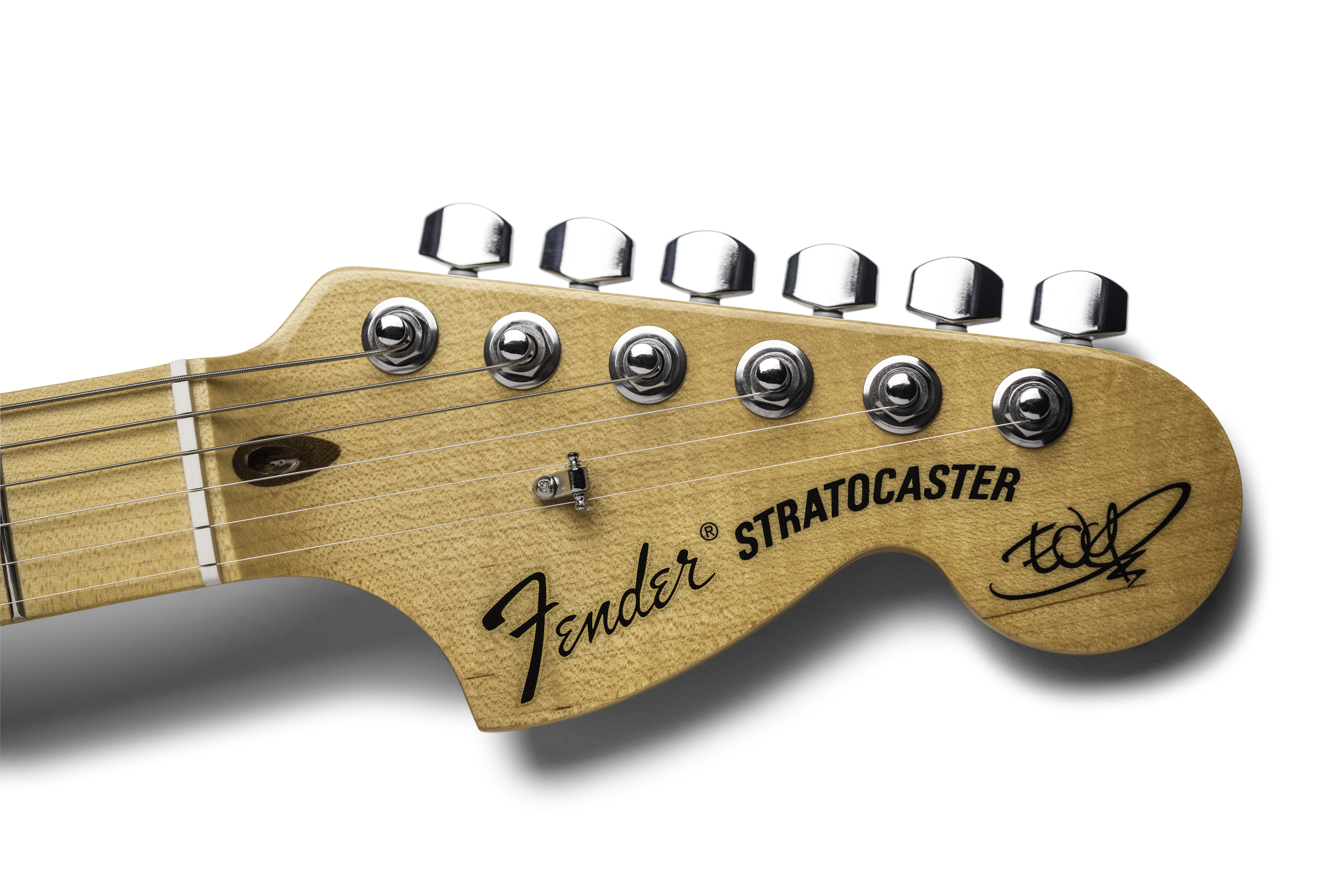 Fender Stratocaster The Edge Signature