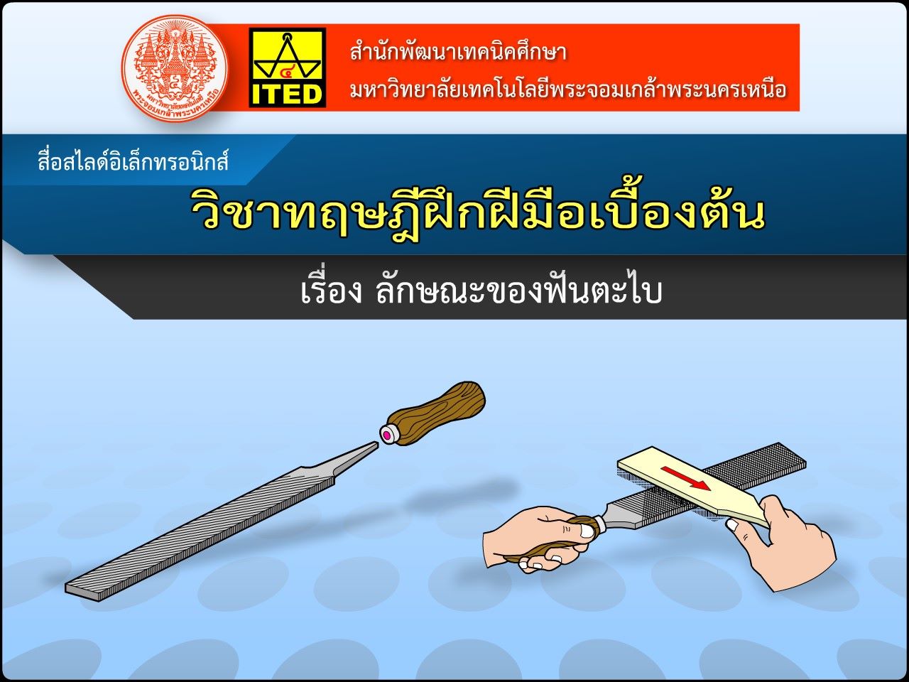 ลักษณะของฟันตะไบ (คู่มือการใช้สื่อ/สไลด์อิเล็กทรอนิกส์) ITED-MT 02012