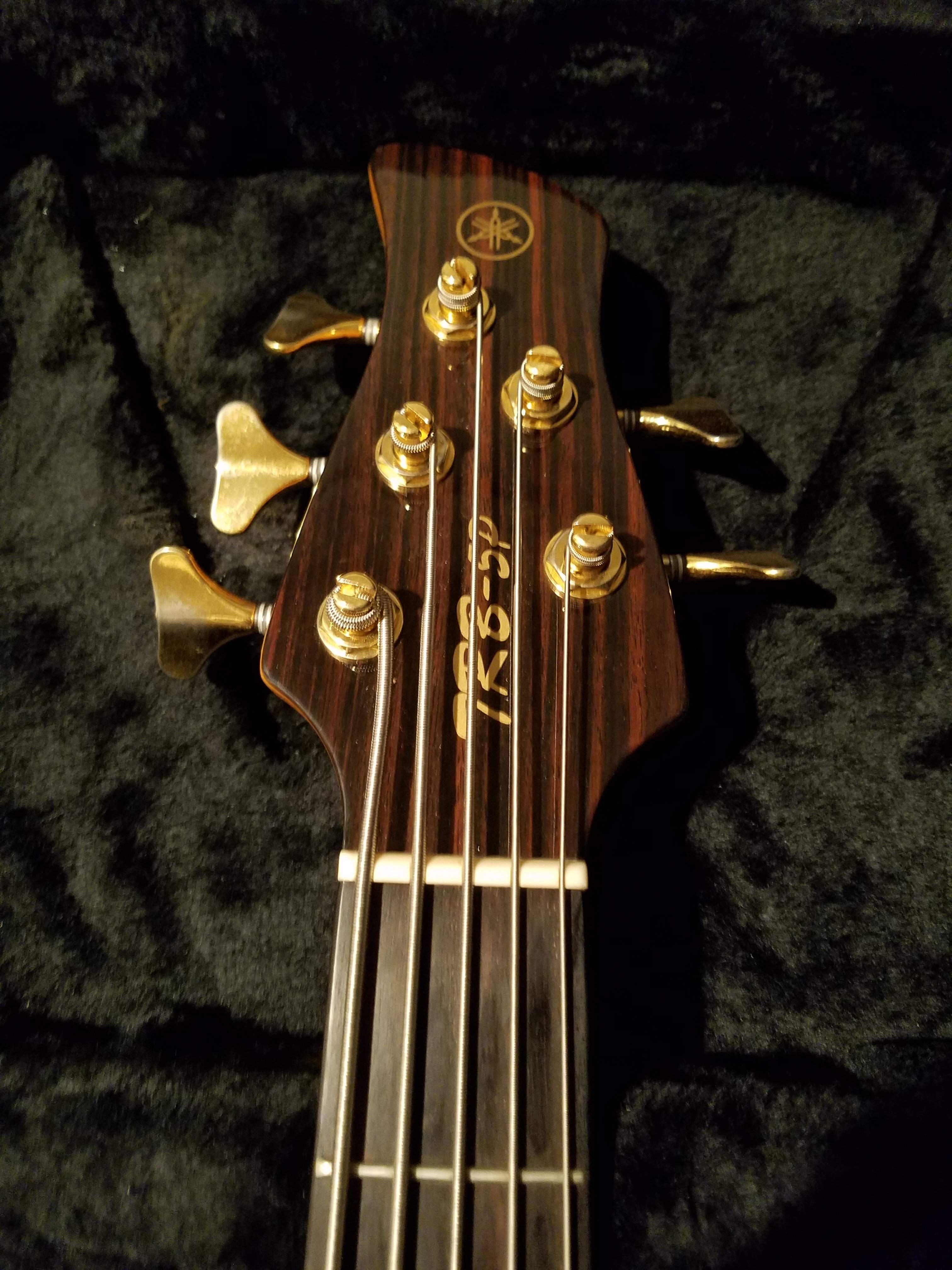 Yamaha TRB-5P [Gold Metallic]