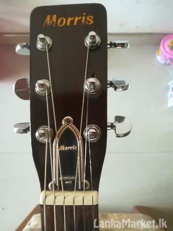 Morris Acoustic 1 [Gold Metallic]