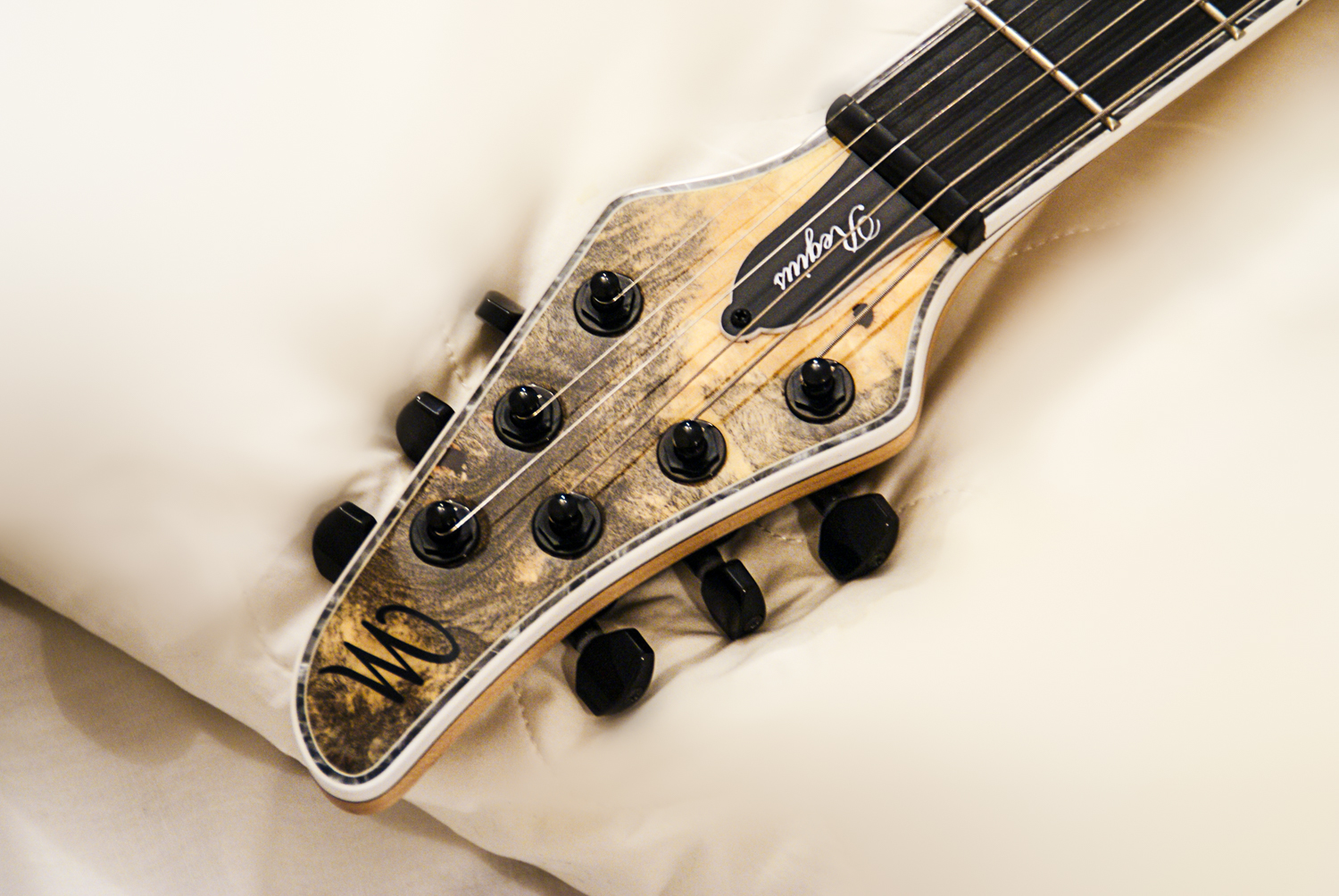 Mayones Bass & Guitar