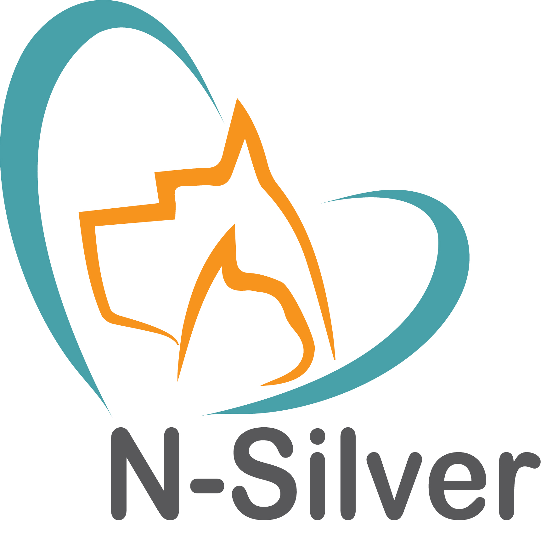 N-Silver Spray