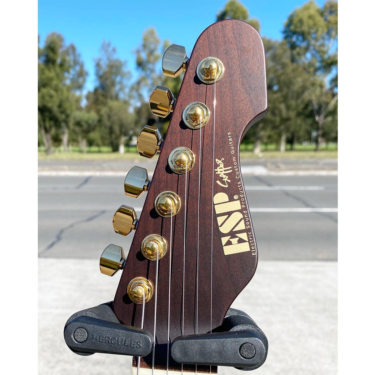 ESP Snapper [Silver Metallic]