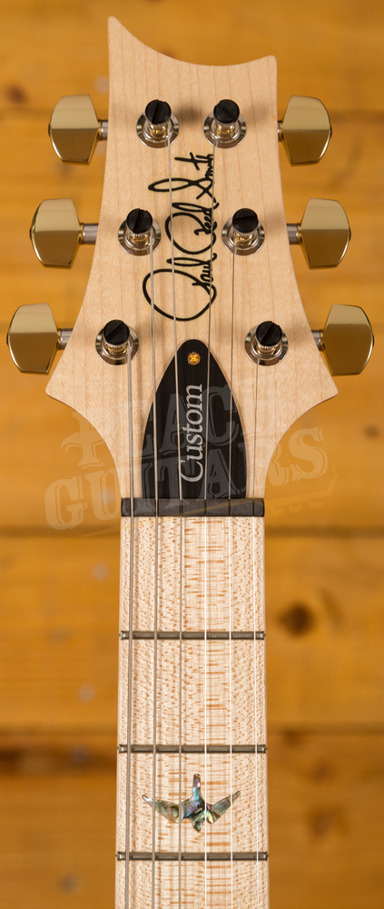 Paul Reed Smith Custom 22