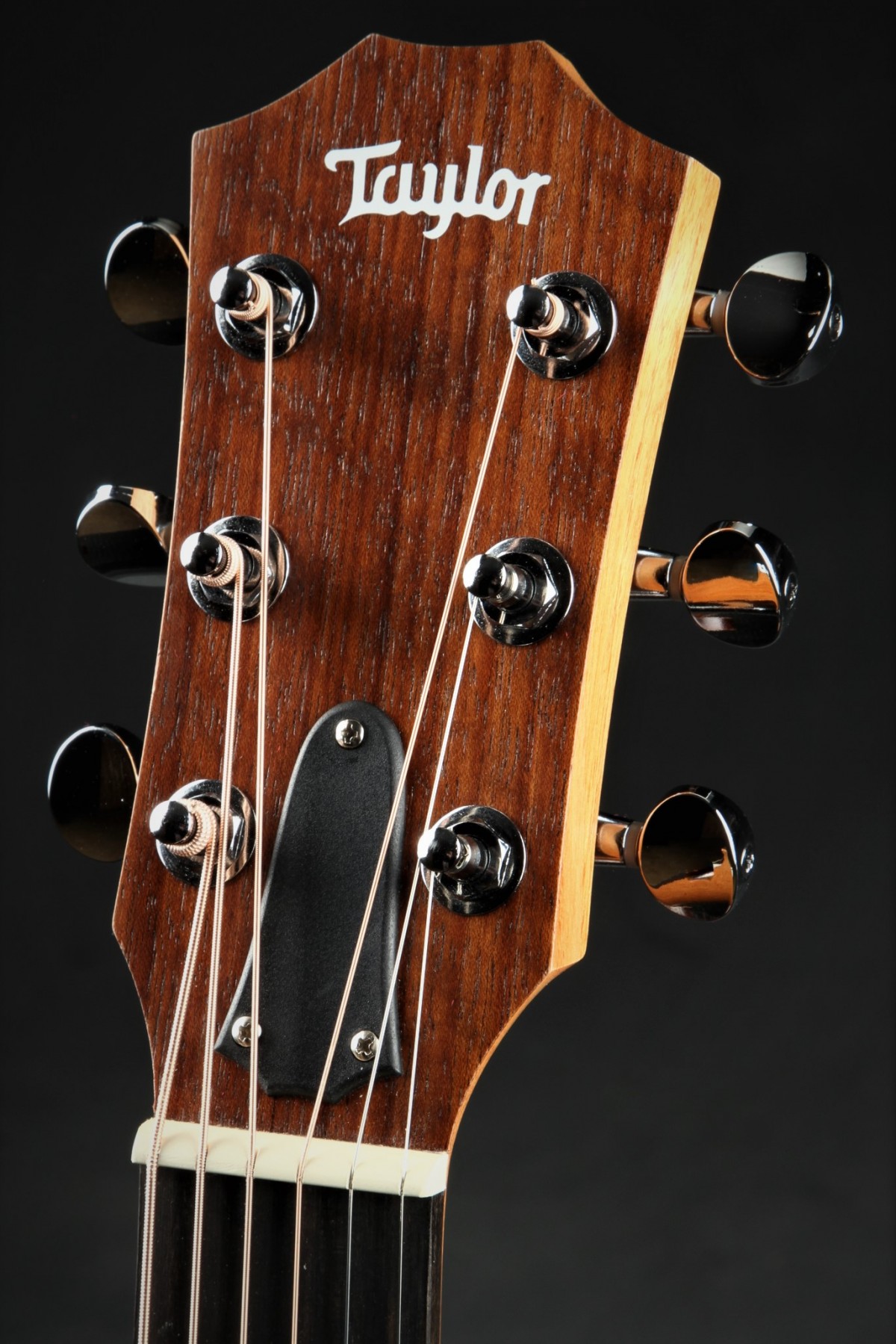 Taylor GS Mini Acoustic