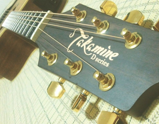 Takamine D-Series