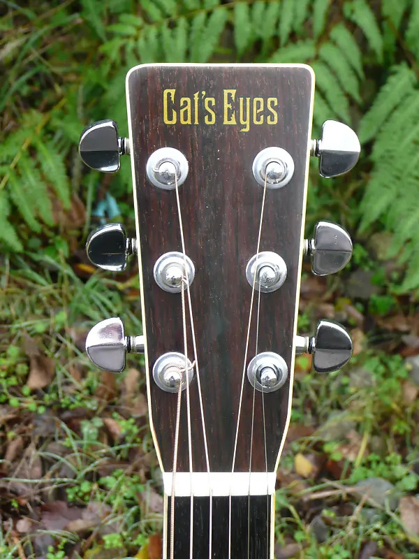 Cat Eye Acoustic 1