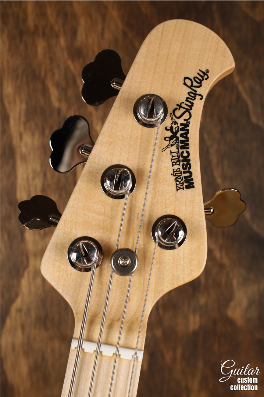 Music Man Stingray