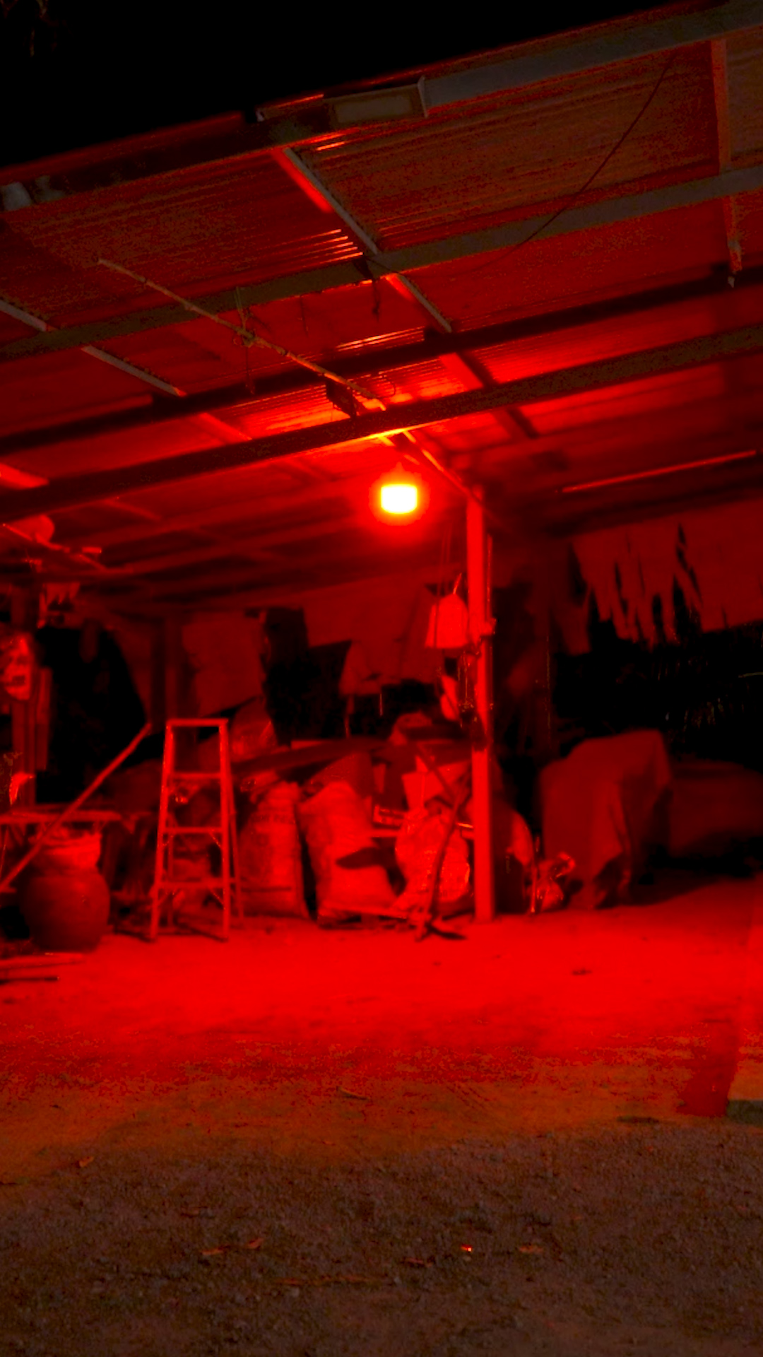 💡แยกขายเฉพาหลอด ไฟตุ้ม 300W รุ่น ซันจัมโบ้💡 ปรับได้ 4 แสง มี ⚪แสงขาว 🟡แสงนวล 🔴แสงส้มไล่ยุง 🟠แสงวอร์มไวท์