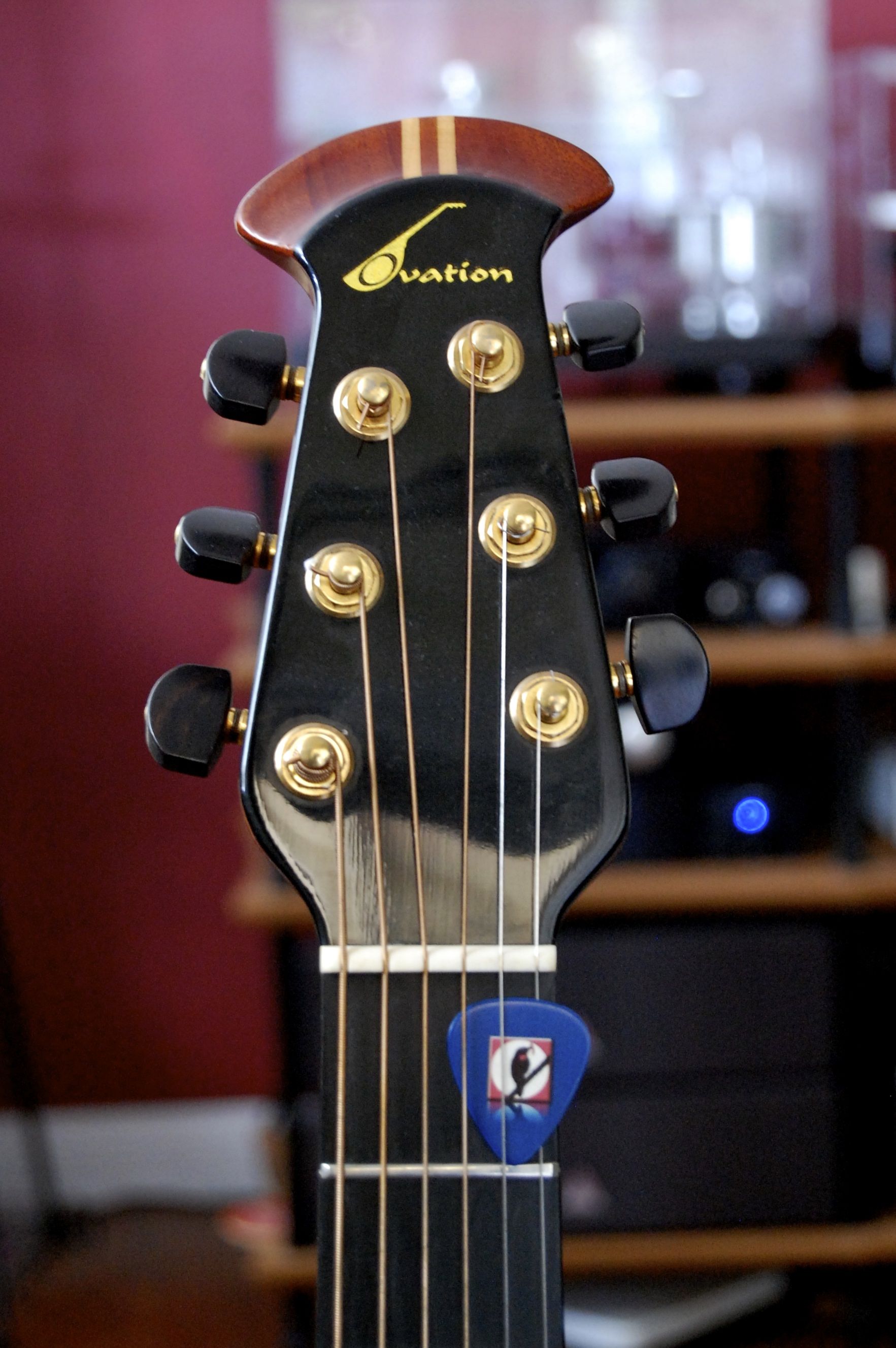 Ovation Guitar USA 1 [Gold Metallic]