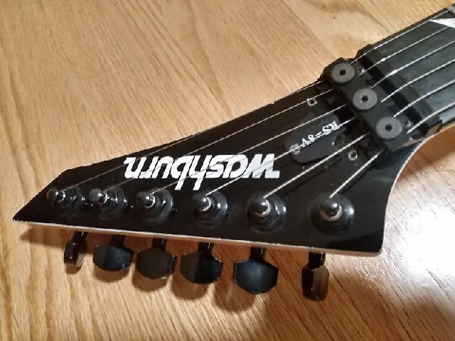 Washburn Rs