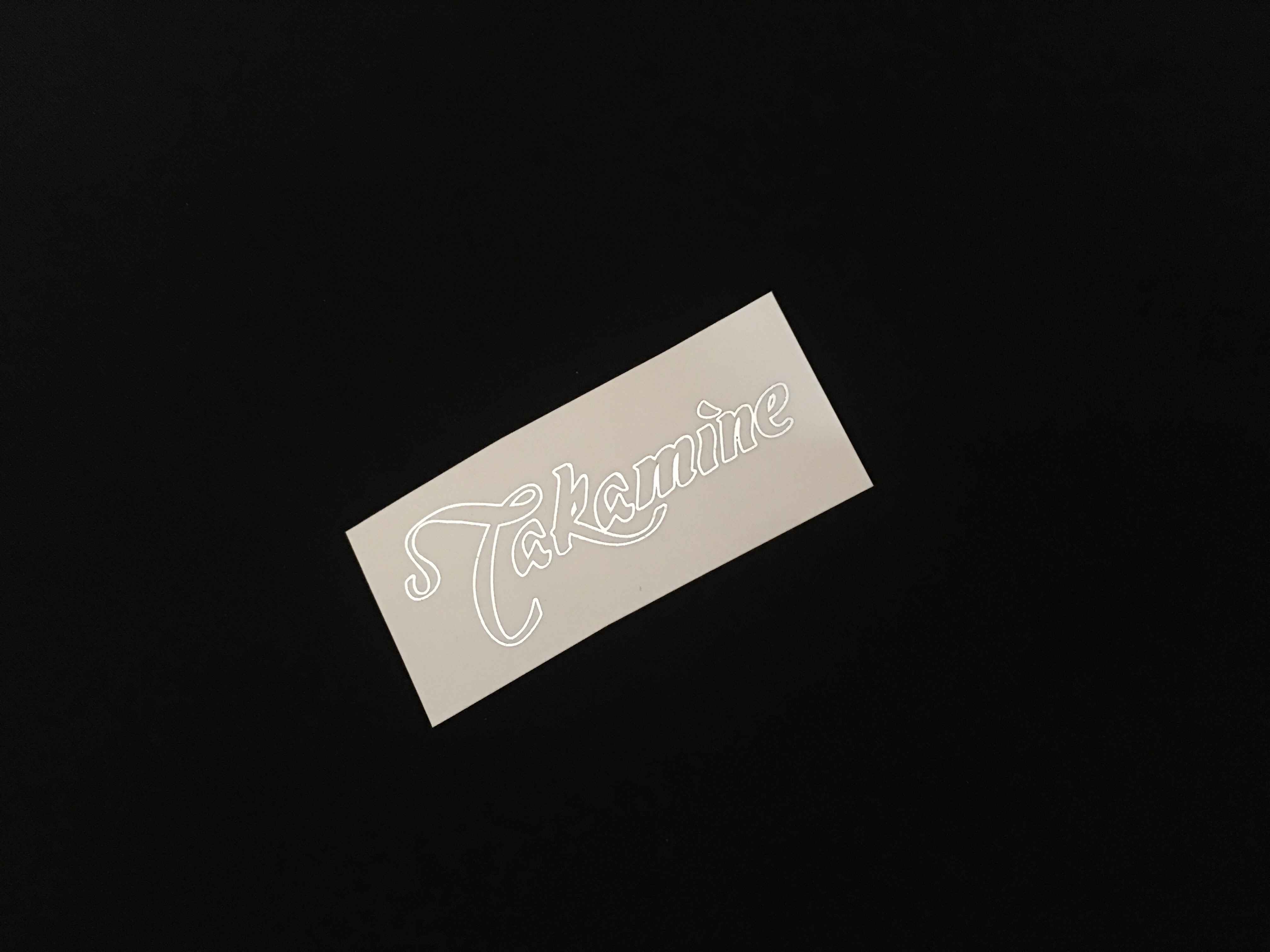 Takamine G Series 1 [Silver Metallic]