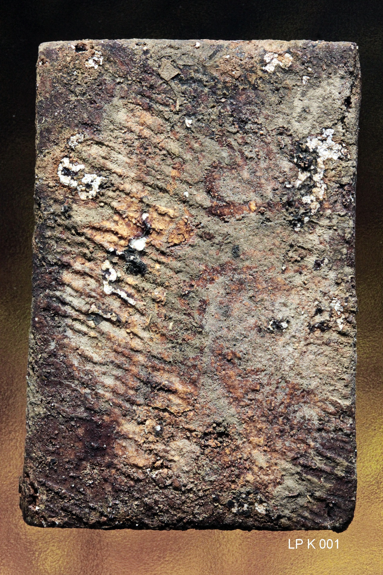 eMagazine "สืบสานพรหมรังสี"