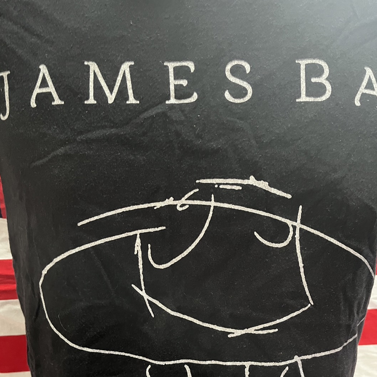 pshirtvingtage เสื้อวง James Bay เจมส์ เบย์ T-Shirt Vingtage มือสอง