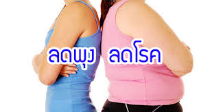 วิธีการลดพุง