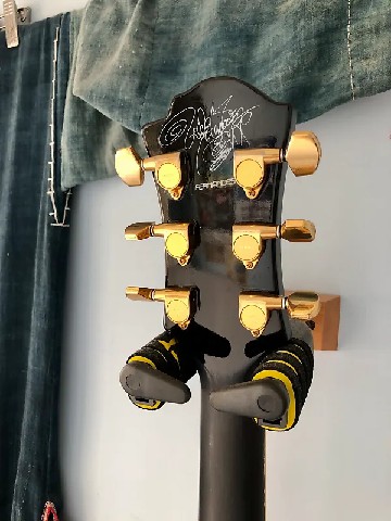 Fernandes Burny 20th Mockingbird Hide Signature