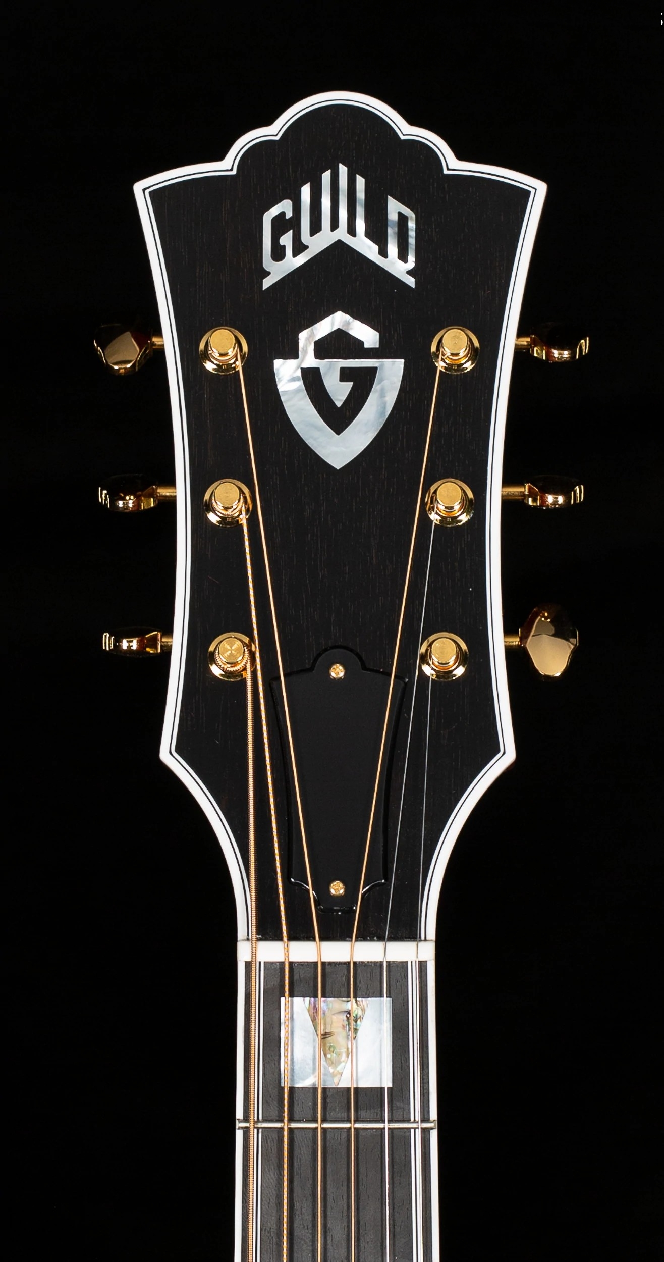 Guild D-55 [Silver Metallic]