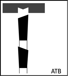 FORREST Ply Veneer Worker 10-Inch x 70T Saw Blade - ใบเลื่อยตัดแผ่นวีเนียร์ แผ่นไม้อัดขนาด 10นิ้ว 70ฟัน FORRESTรุ่น Ply Veneer Worker- PVW19707100