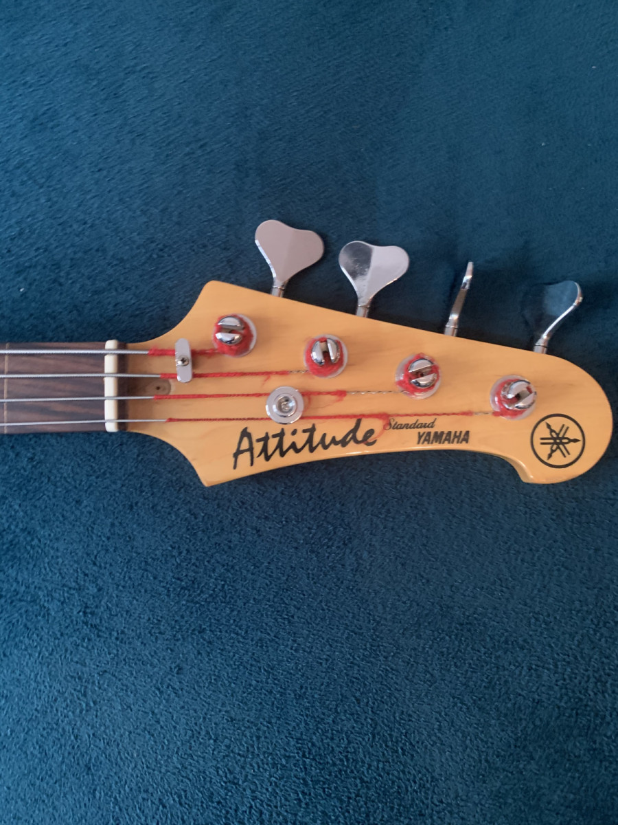 Yamaha Attitude Standard