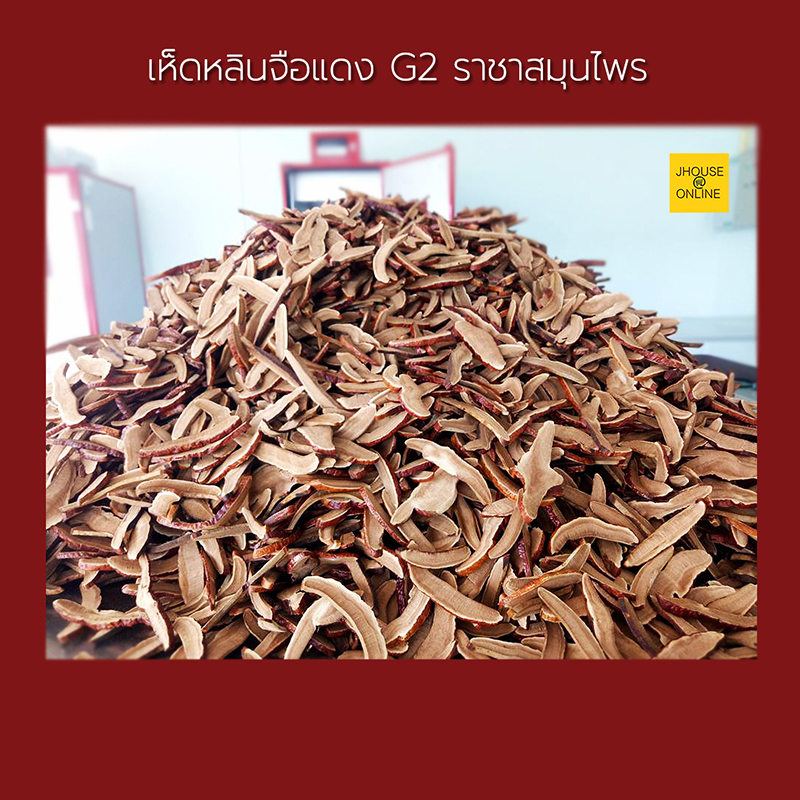 เห็ดหลินจือแดงอบแก้ง ออร์แกนิค100%(หั่นชิ้น) สายพันธุ์ G2 ช่วยสร้างภูมิคุ้มกันร่างกาย