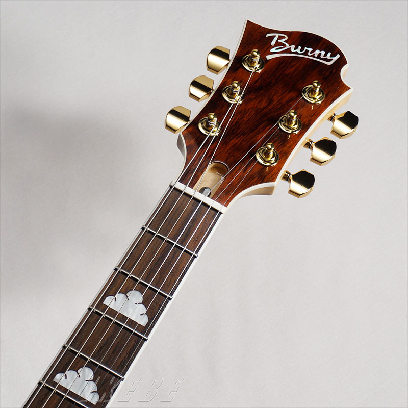 Burny MG Hide Signature [Silver Metallic]