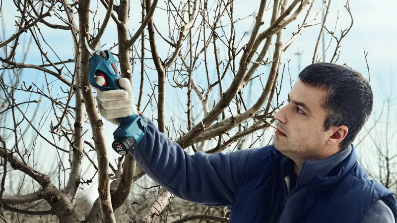 BOSCH Pro Pruner - Cordless Secateur with 1x 2.0Ah batteries and Charger - เครื่องตัดแต่งกิ่งไม้ไร้สาย ใช้แบตเตอรี่ 12โวล์ท (พร้อมแบตเตอรี่ 12โวล์ท 2.0Ah 1ก้อน และแท่นชาร์ท) - 06019K10K1