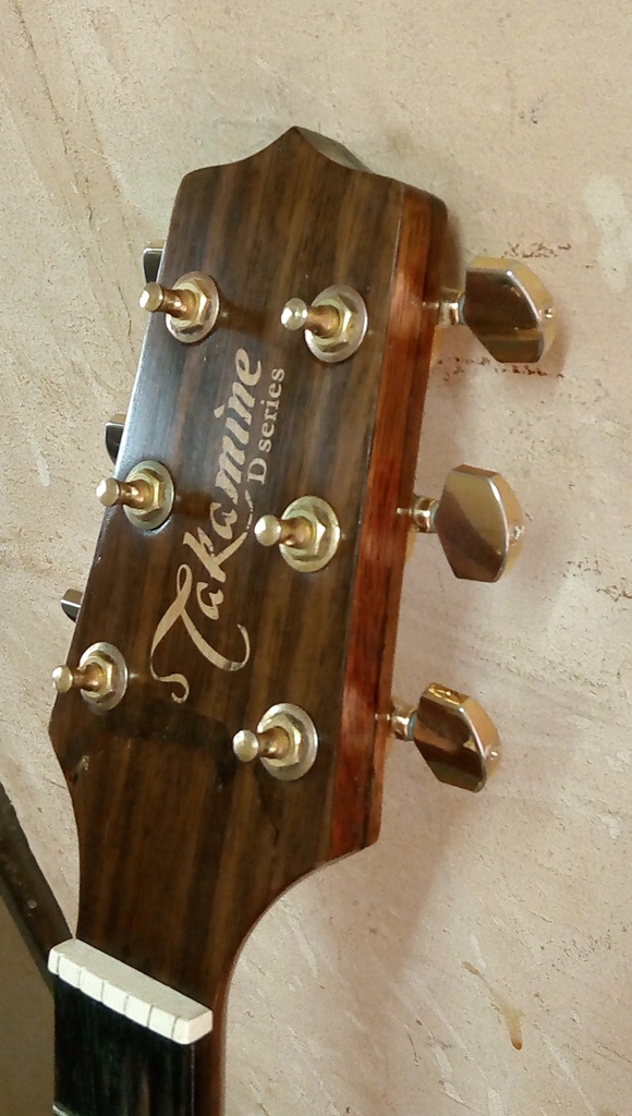 Takamine D-Series
