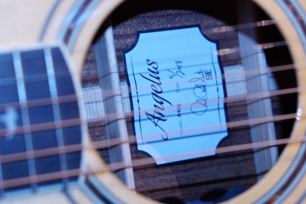 Paul Reed Smith SE Angelus