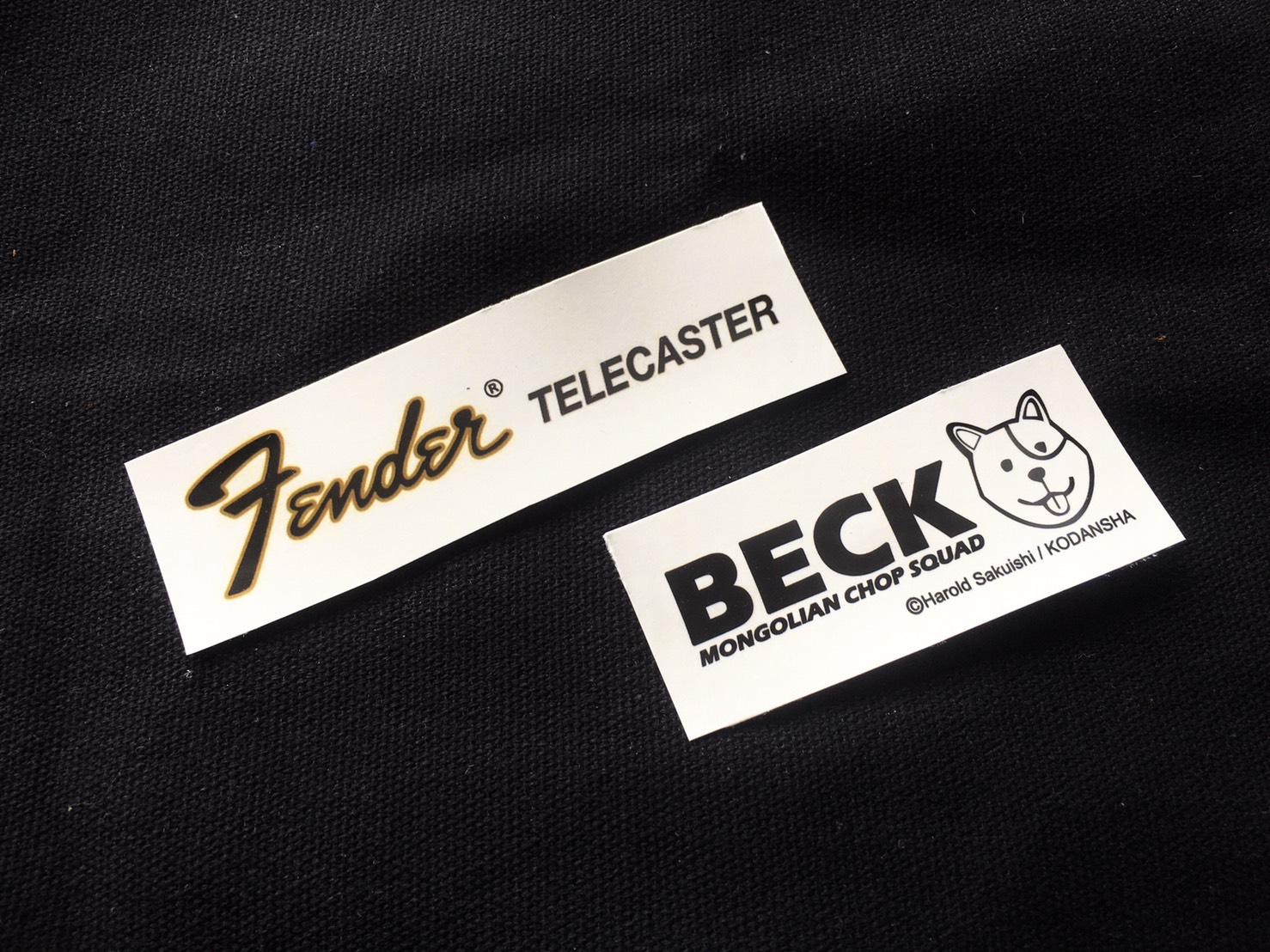 Fender Telecaster LTD Edition Beck