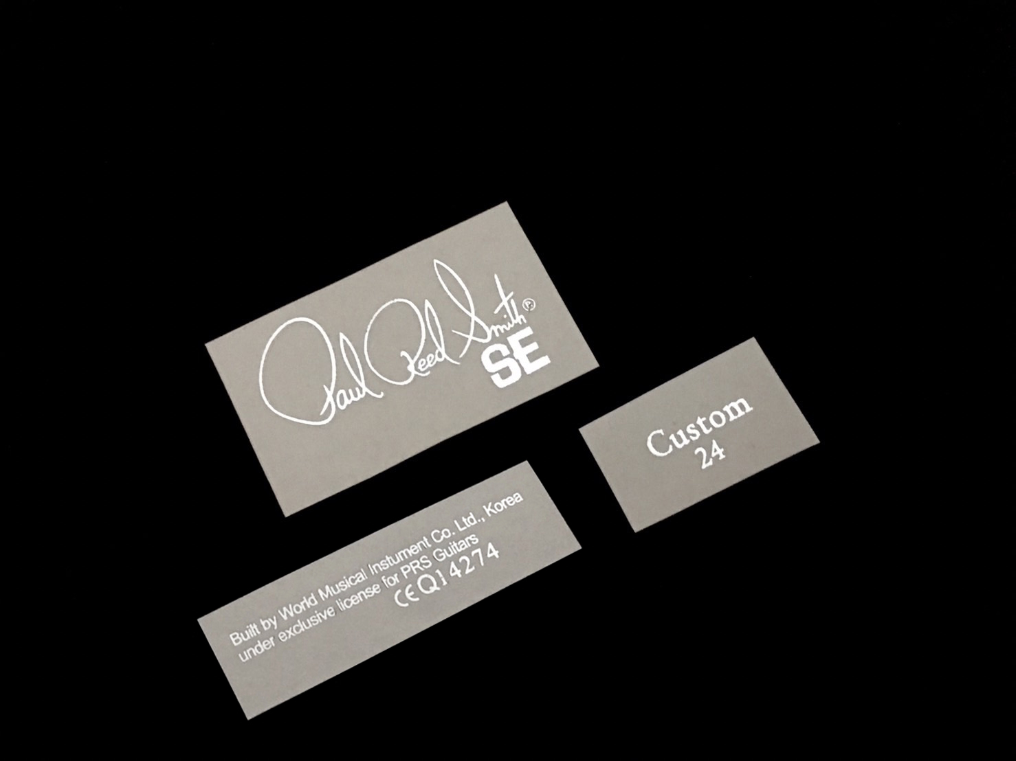 Paul Reed Smith SE Custom [Silver Metallic]