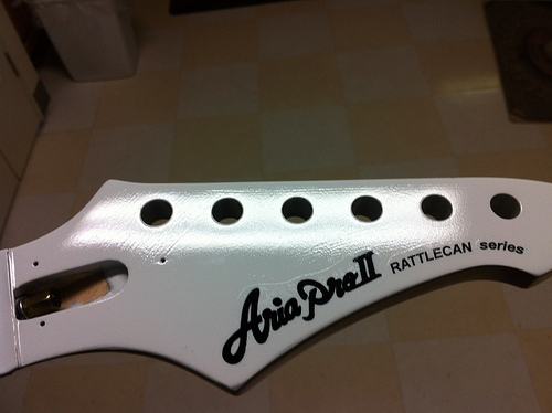 Aria Pro II Rattlecan Series