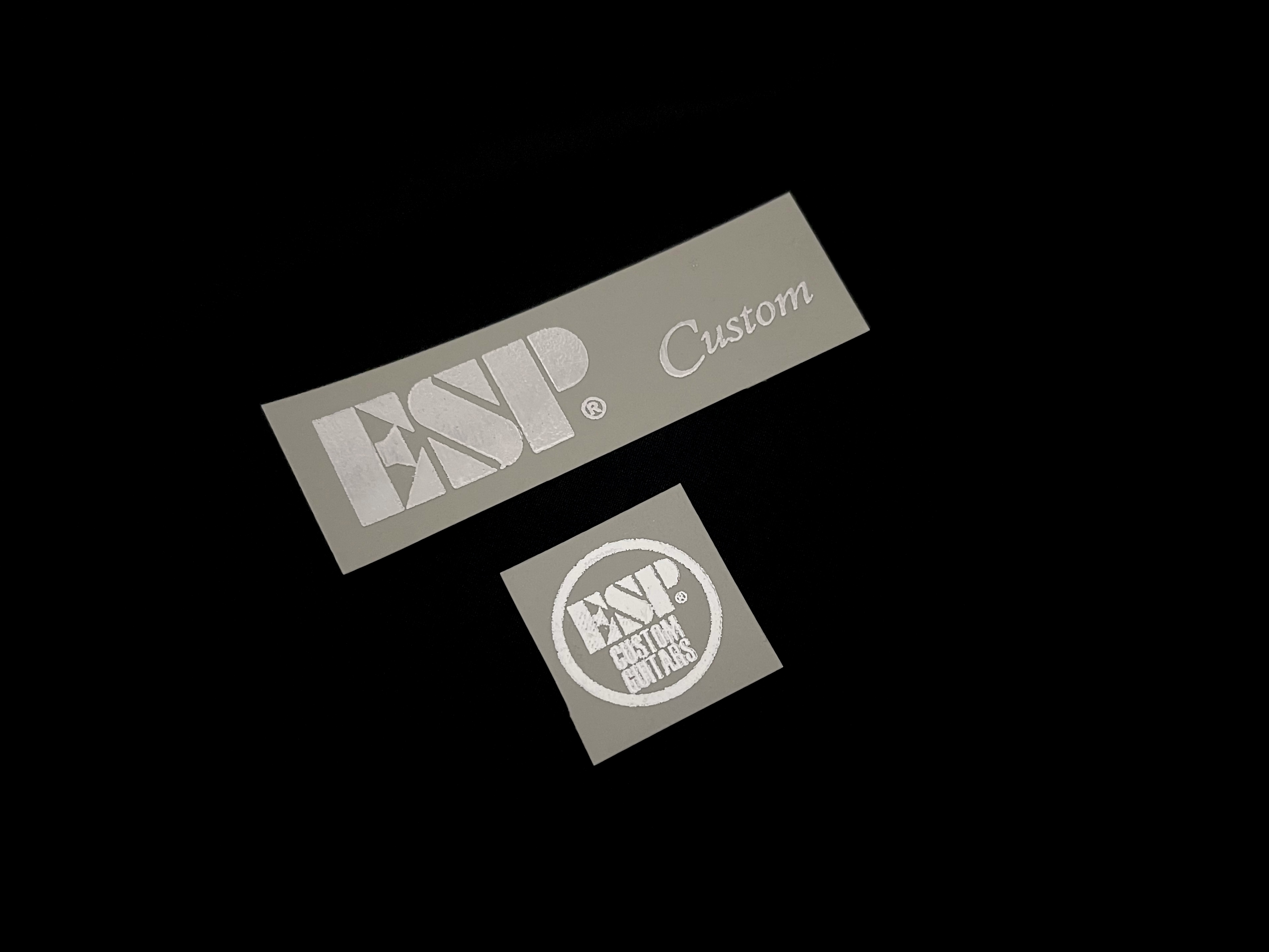 ESP Custom [Silver Metallic]