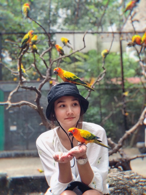 หมวกบักเก็ตแบบมีสายรัด หมวกbucketผูกคาง หมวกปีกกว้างผ้าพีชคอตตอน size : 58cm.