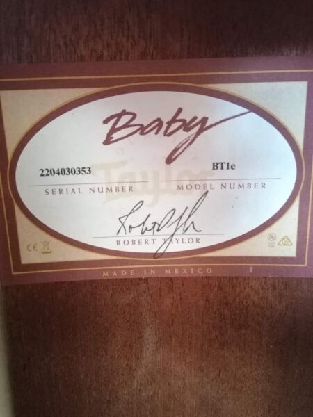 Taylor Baby Acoustic