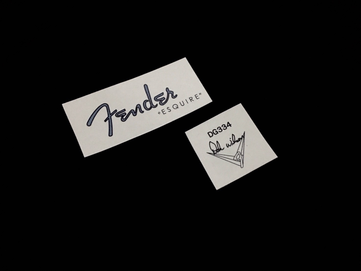 Fender Esquire Masterbuilt Dale Wilson