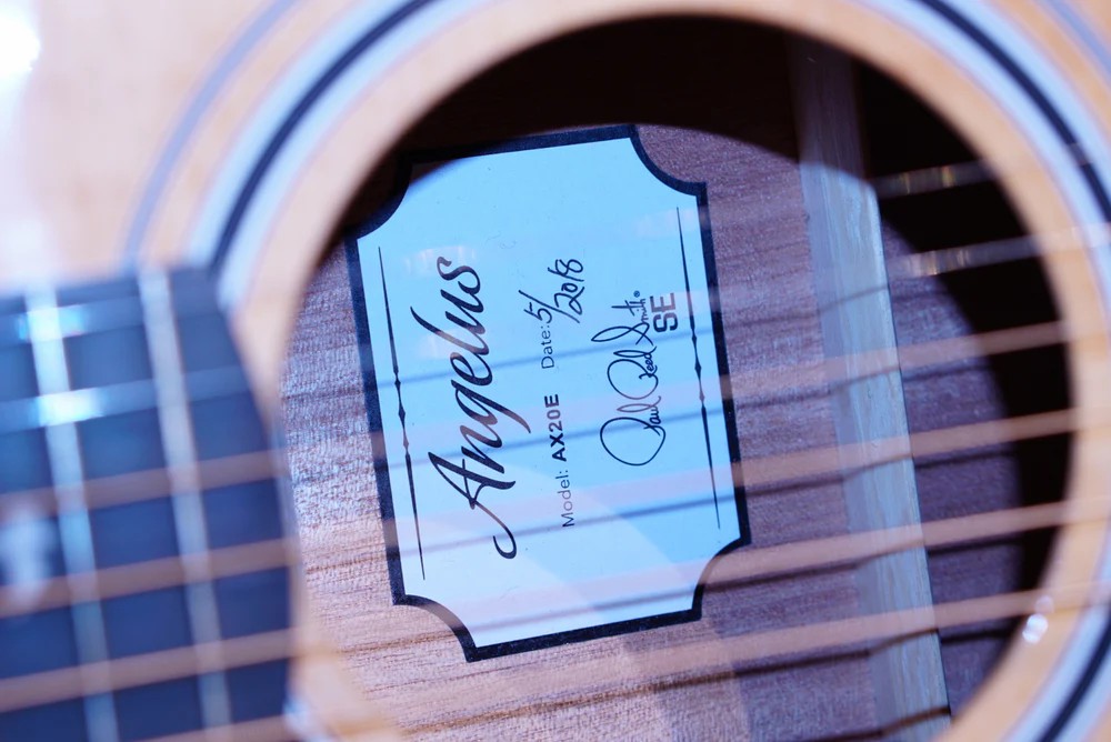 Paul Reed Smith SE Angelus