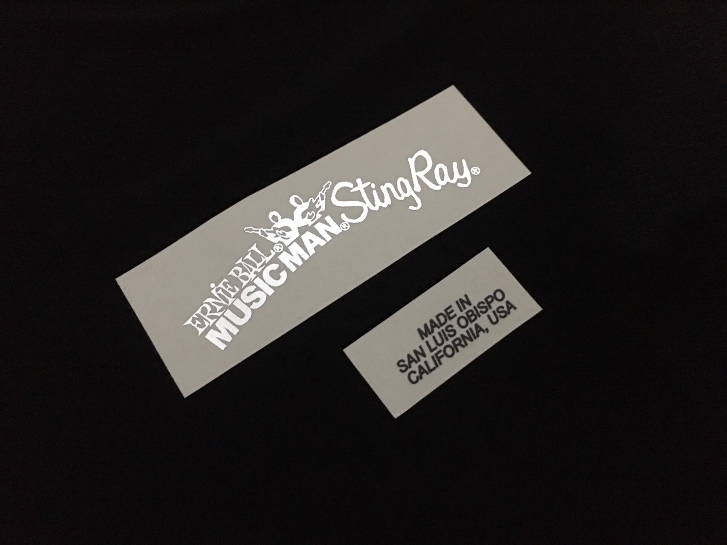 Music Man Stingray [Silver Metallic]