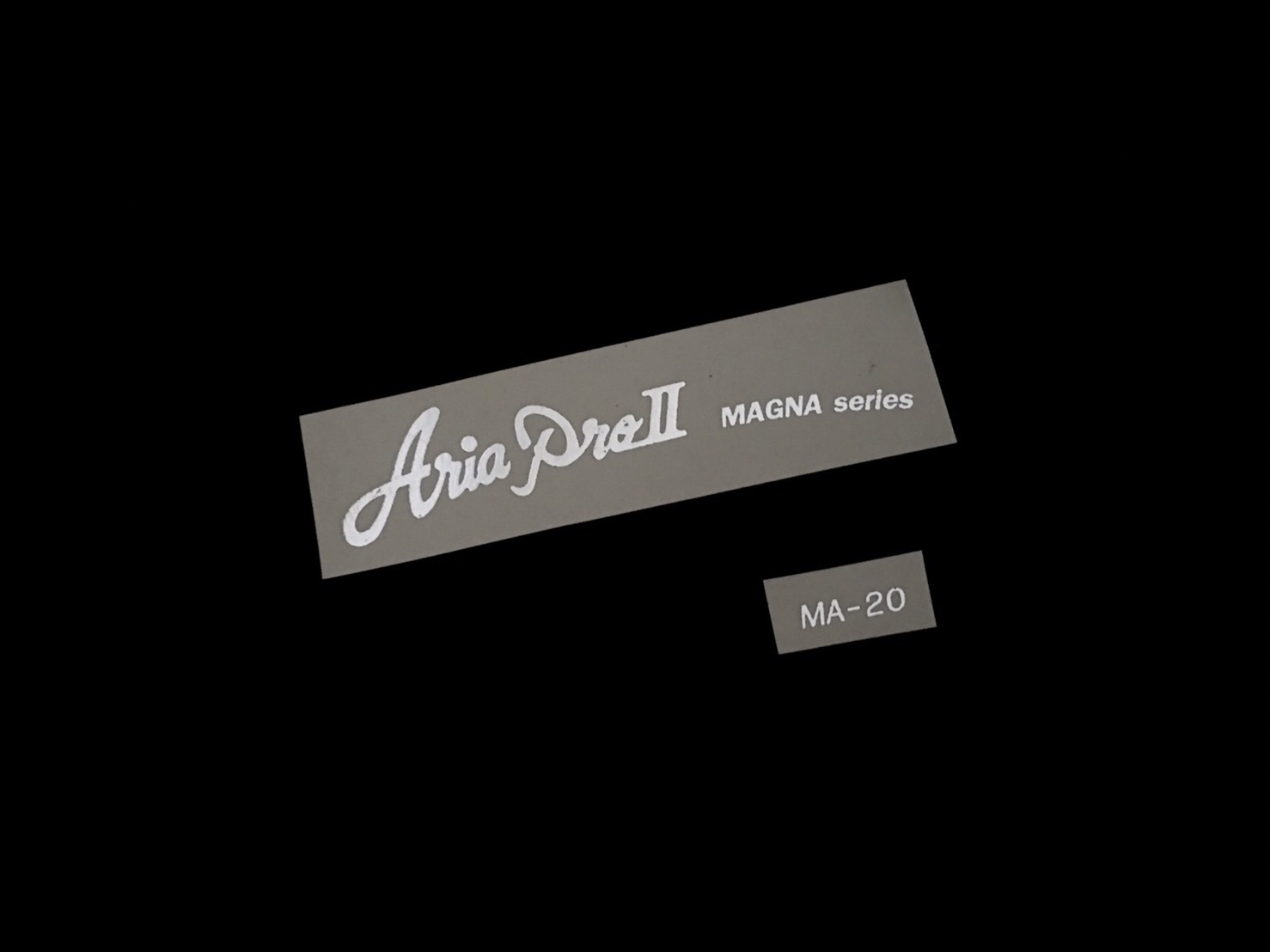 Aria Pro II Magna Series [Silver Metallic]