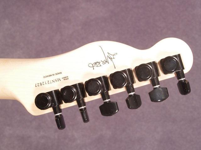 Fender Telecaster Jimroot Signature