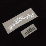 Music Man Stingray 5 [Silver Metallic]