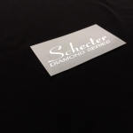 Schecter Diamond Series [Silver Metallic]