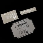 Paul Reed Smith SE Angelus