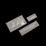 Paul Reed Smith SE Tremonti [Silver Metallic]