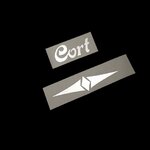 Cort Acoustic [Silver Metallic]