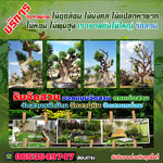 ขายส่งหินจัดสวนโทร 065-3549747 หินแต่งสวน หินจัดสวน หินทำน้ำตก จัดหาหินธรรมชาติ หินกาบ หินมอส หินฟองน้ำ