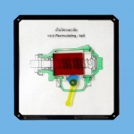 เกียร์พวงมาลัยแบบลูกปืนหมุนวน (Recirculating ball) ITED-MT 07045