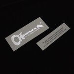 Charvel Model [Silver Metallic]