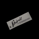 Spirit By Steinberger