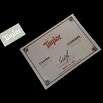 Taylor + Labal Acoustic