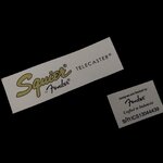 Squier Telecaster Vintage Modified Cabronita